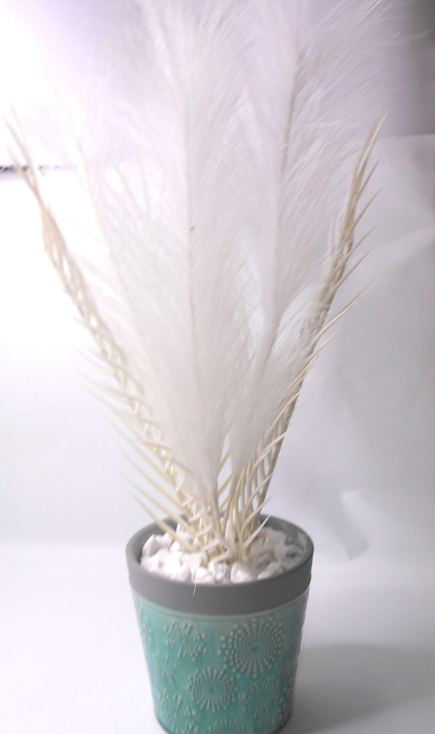 Fur Vase