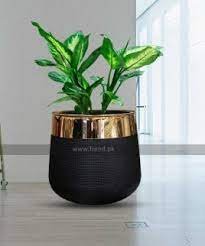 planter