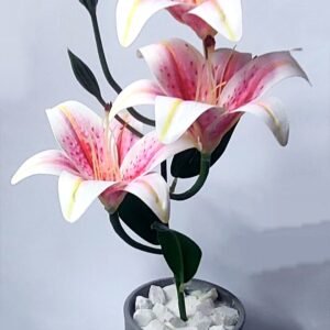 ceramic pot with arrangements